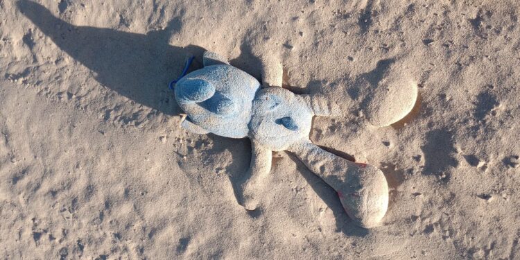 37 Deaths on the Border