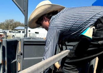 Gunner Ladd: A Wild Ride via Dad’s Texts from Live Oak