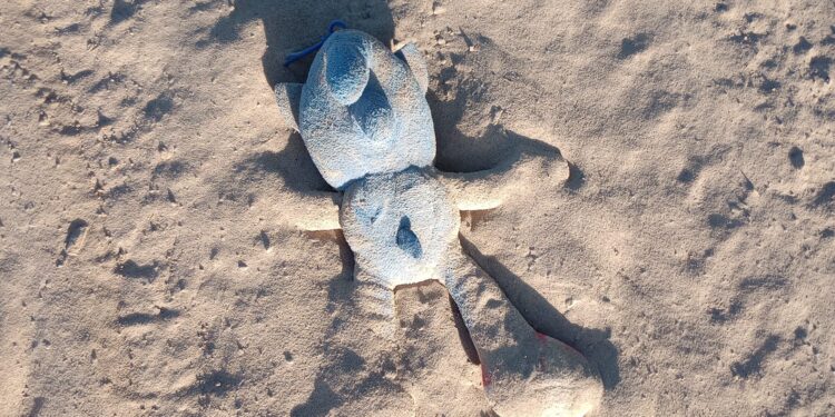 Human Trafficking: A Modern Plague Echoing Pre-Civil War Slavery