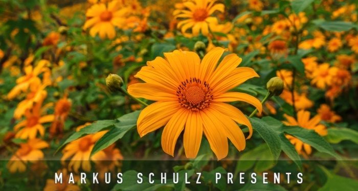 Markus Schulz – Global DJ Broadcast In Bloom 2025 (Vocal Dance Mix)